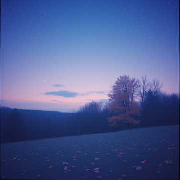 Cover of the song ragazza triste