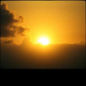 Portada de la canción Új Tűz