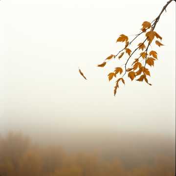 Cover of the song ТОЛЬКО СЕРДЦЕ НЕ ОБМАНЕШЬ