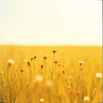 Cover of the song Слуцкия ткачыхи