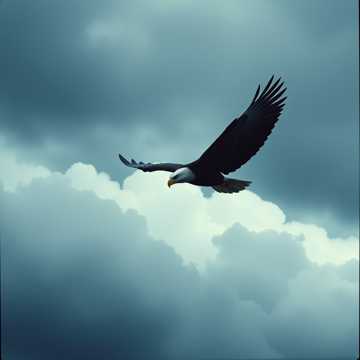 曲のカバー Megváltók