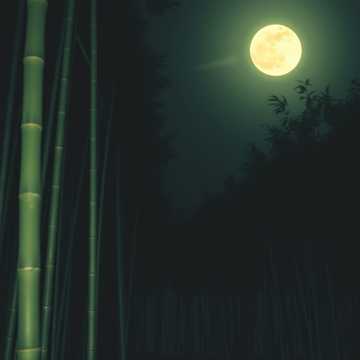 Couverture de la chanson Nhẫn Hòa