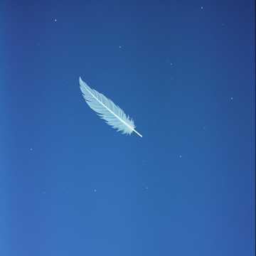 歌曲的封面Whispers of the Sky