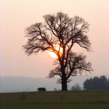 Cover av låten Тато в серці