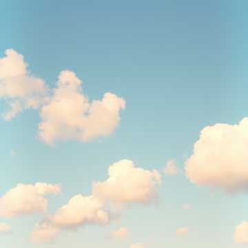 Cover of the song Soft Heart, Sharp Bite