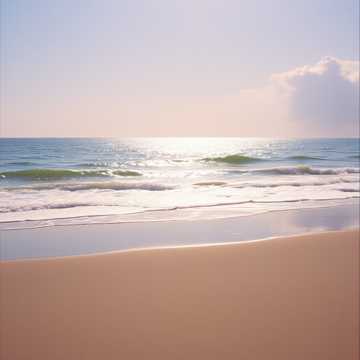 노래 표지 LE PORT D'HIER