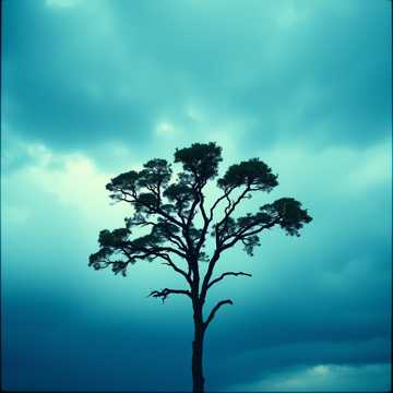 Cover utworu CUANDO LLEGUE LA TORMENTA
