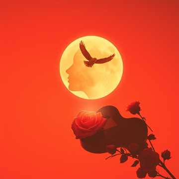 Cover van het nummer على خدّك قمَر