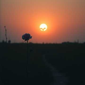 歌曲的封面Szóltam hozzád