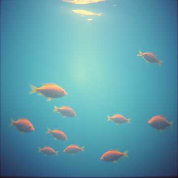 Cover of the song Bojím