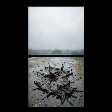 Cover utworu Notte di Fango