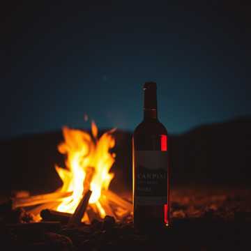 คัฟเวอร์เพลง เมรัยพันจอกมิเมามาย