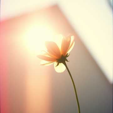 歌曲的封面Мама