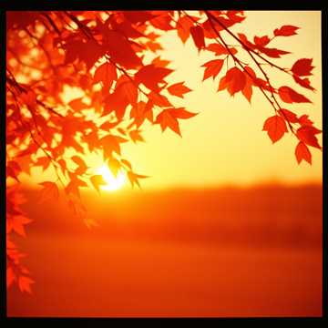 Cover of the song 사랑