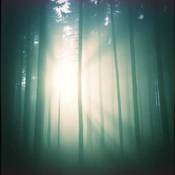 คัฟเวอร์เพลง második esély 3