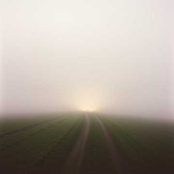 노래 표지 Ánh Sáng Từ Bi