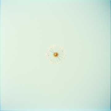 Cover of the song 1