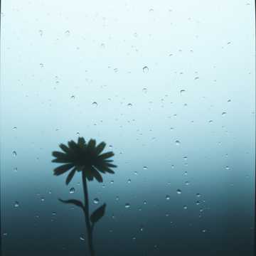 歌曲的封面Твоё имя