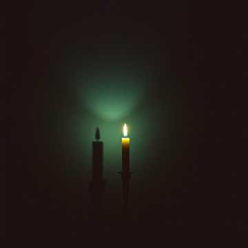 Portada de la canción Surviving the Night