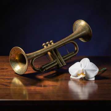 Couverture de la chanson Betti