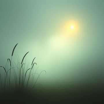 คัฟเวอร์เพลง 晨霧中的長笛