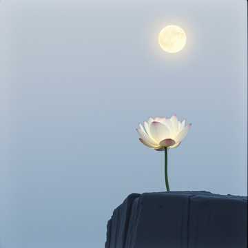 Capa da música 일심화(一心花)