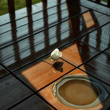 노래 표지 Отцвели в саду, розы белые,