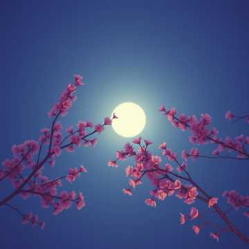 Capa da música 잠시 떨어진 연인을 생각하며