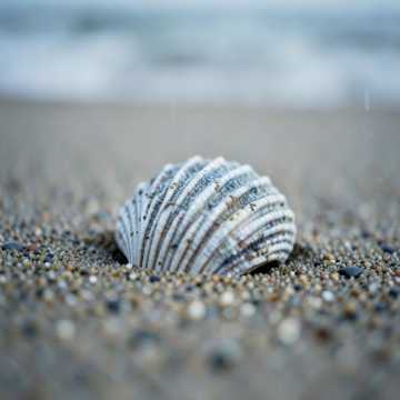 Copertina della canzone אין מקום רחוק