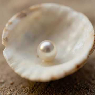 Portada de la canción جُمانُ يا قِطْعَةً مِنِّي