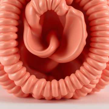 A dal borítója Bella hazatalál