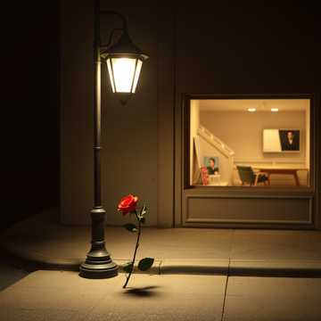 Couverture de la chanson Oh Rose, My Darling