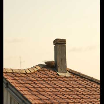 Portada de la canción Bociani powrót