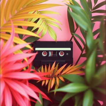 Couverture de la chanson วิถีชีวิตในอดีต