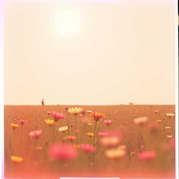 Cover of the song ชีวิตวันวาน