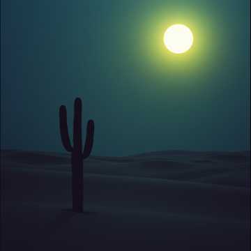 Couverture de la chanson Lost in the Dunes