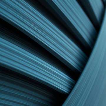 歌曲的封面Первая любовь 1975год