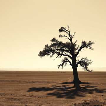 Кавер на песню не живите космосом