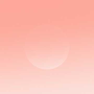 노래 표지 입춘