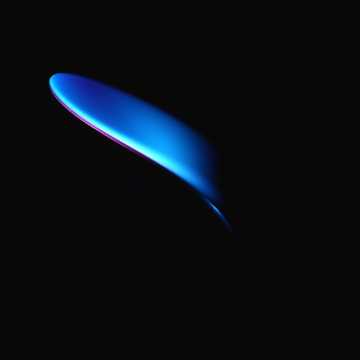 노래 표지 양 의 하루