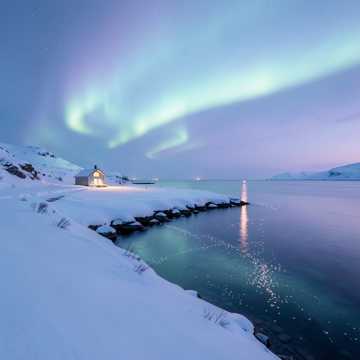 曲のカバー Paller