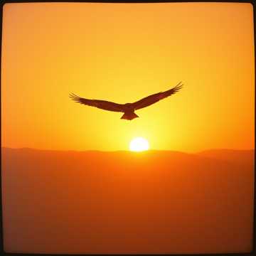 Cover of the song صصص