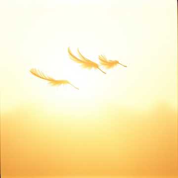 Cover of the song Wings of Light