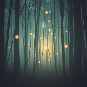 曲のカバー Onde está você