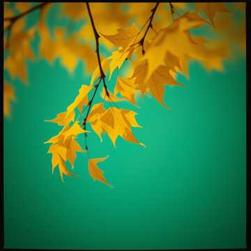 Couverture de la chanson Ai ai