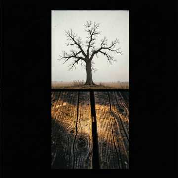 Cover of the song meg texas blues