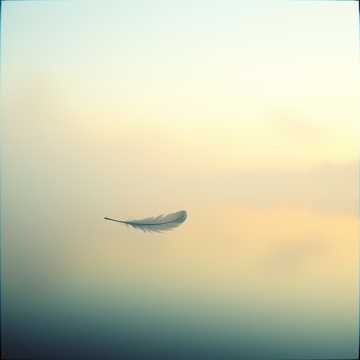 歌曲的封面Bruma Sul Lago