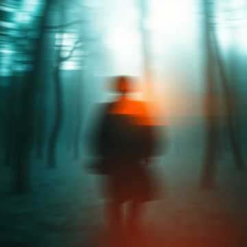 歌曲的封面Night of the Laughing Wolves