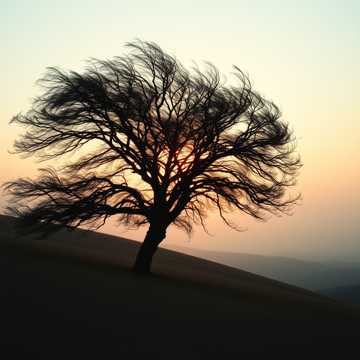 歌曲的封面Köszönöm anyám
