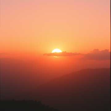 Түрік порно фильмдері